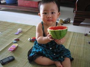 娱乐吃瓜小星星,揭秘娱乐圈那些吃瓜背后的故事